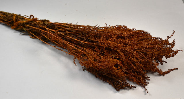 Image for Solidago preparat portocaliu