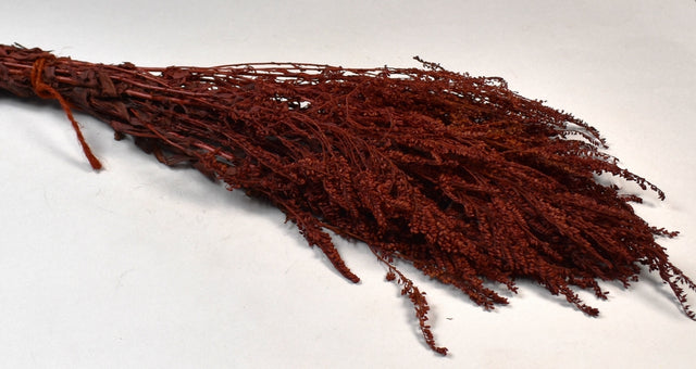 Image for Solidago preparat rosu