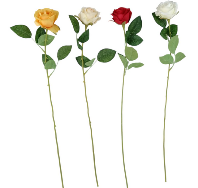 Fir trandafiri mixt 53 cm S/48