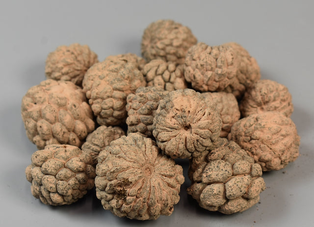 Image for Fructe Ata vopsit cappucino