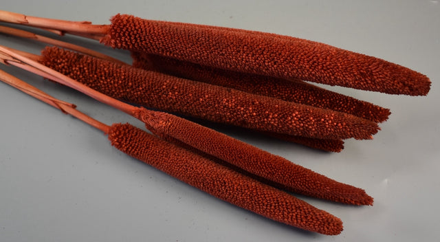 Image for Babala maro