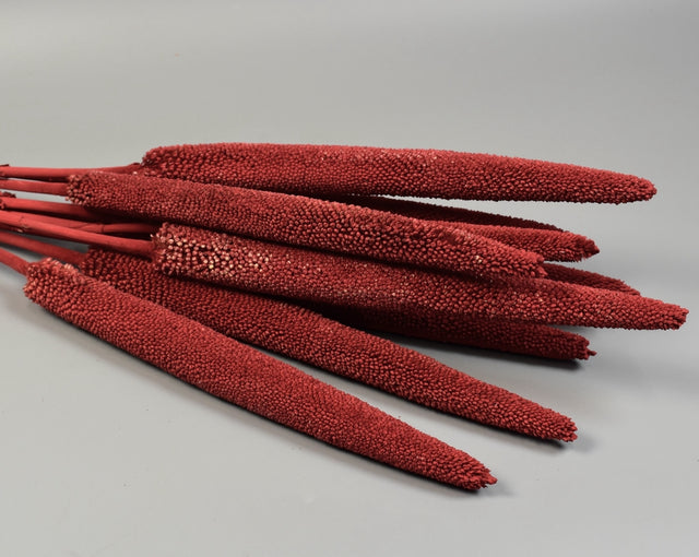 Image for Babala vopsit bordeaux