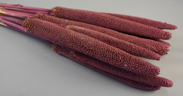 Image for Babala vopsit mure