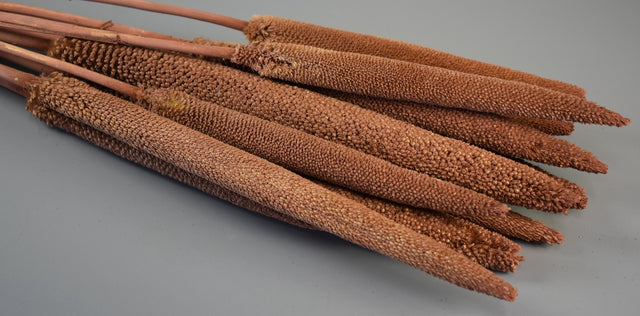 Image for Babala vopsit maro deschis