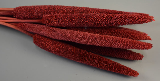 Image for Babala rosu