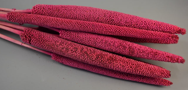 Image for Babala roz