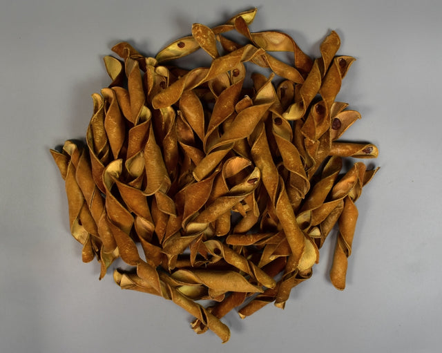 Image for Pastai catifelate natur