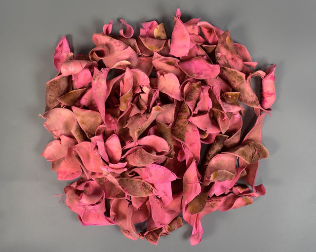 Image for Pastai catifelate roz