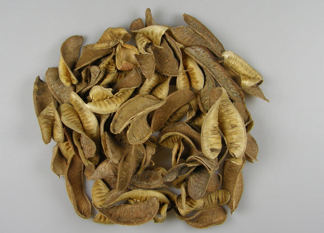 Image for Pastai ondulat crem