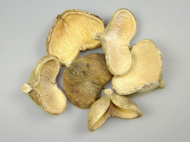 Image for Badam inalbit