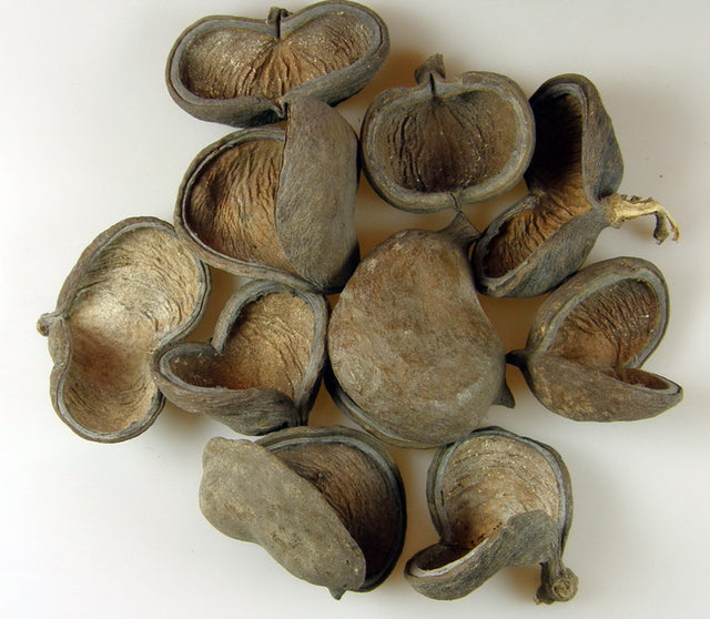 Image for Badam natur