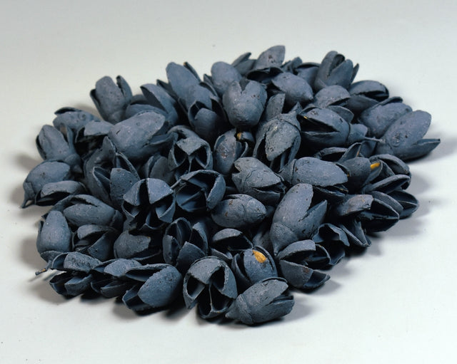 Image for Bakuli vopsit albastru inchis