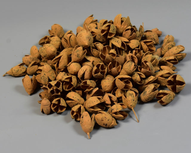 Image for Bakuli vopsit cappucino