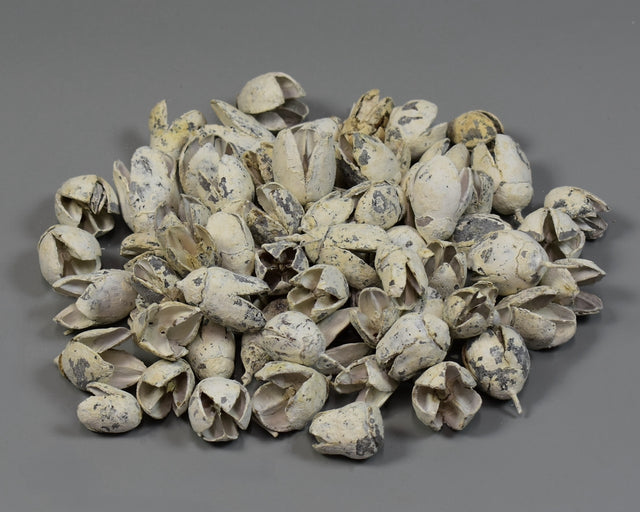 Image for Bakuli vopsit alb