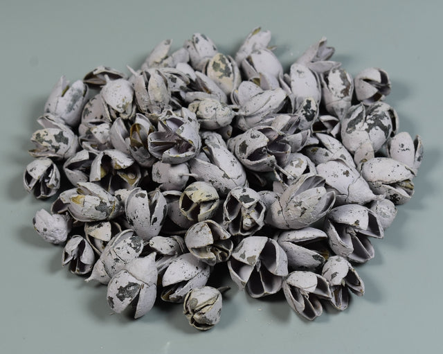 Image for Bakuli vopsit mov