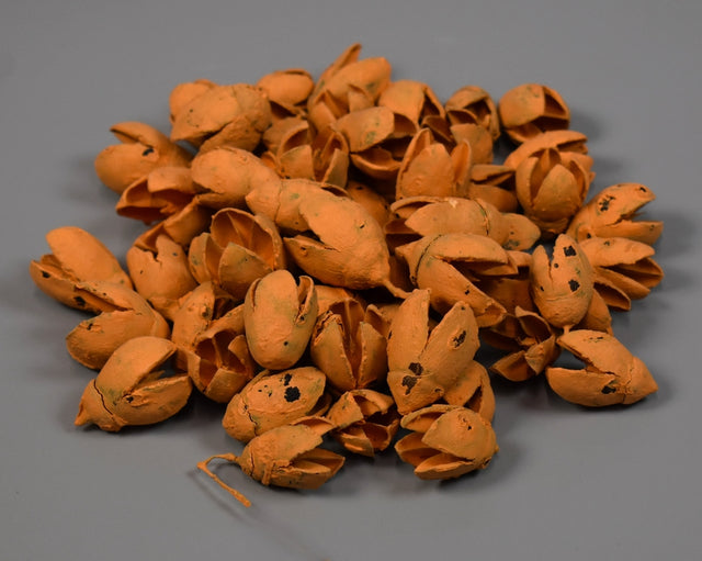 Image for Bakuli vopsit portocaliu