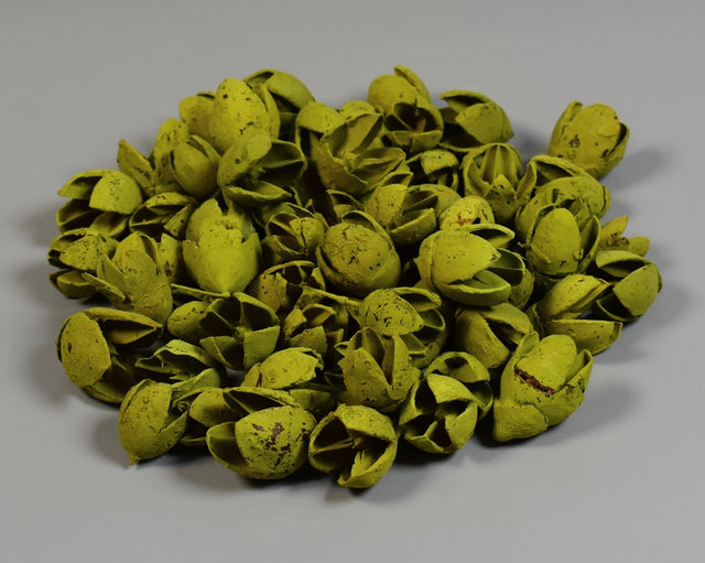 Image for Bakuli vopsit verde oliv