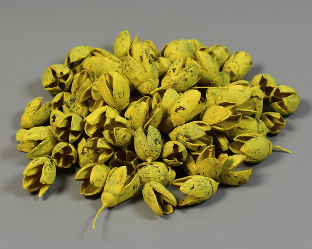 Image for Bakuli vopsit galben