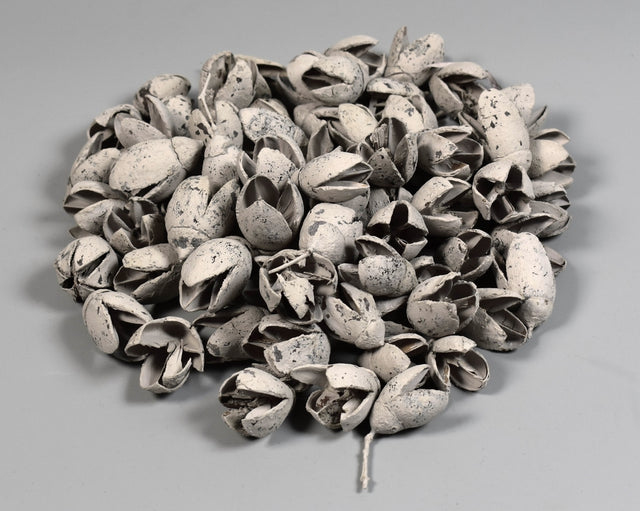 Image for Bakuli vopsit gri