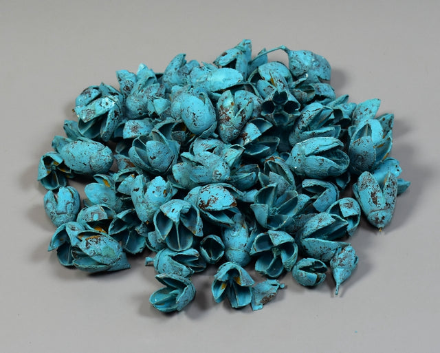 Image for Bakuli vopsit turcoaz