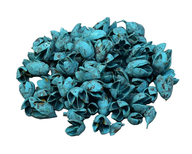 Image for Bakuli vopsit turcoaz