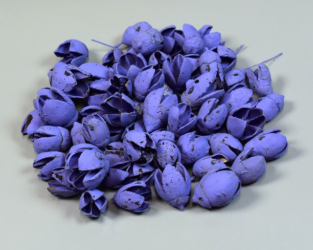 Image for Bakuli vopsit very peri