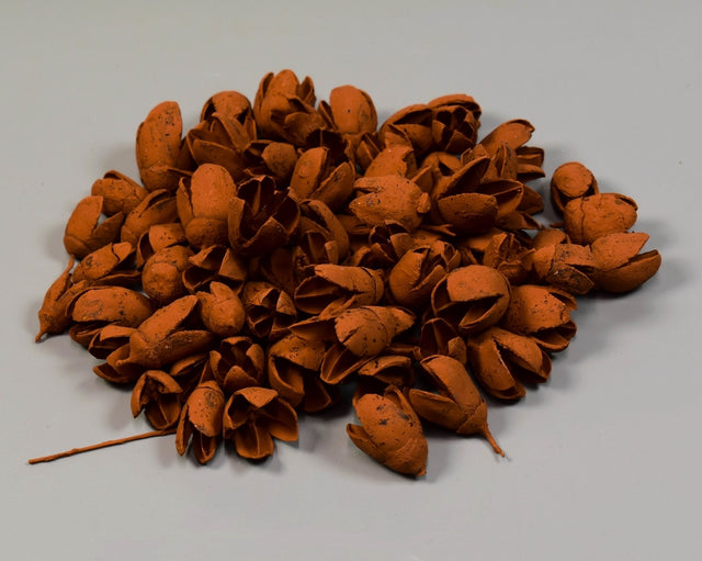 Image for Bakuli vopsit maro deschis