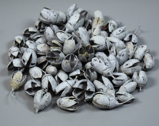 Image for Bakuli vopsit albastru deschis