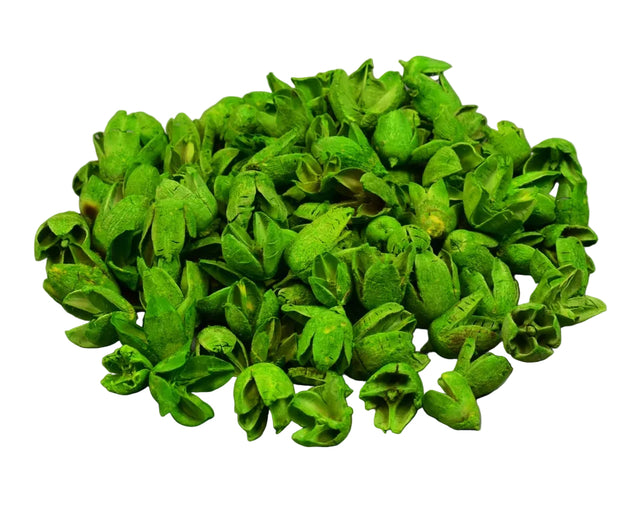 Image for Bakuli inalbit verde deschis