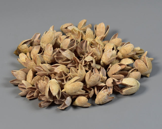 Image for Bakuli inalbit