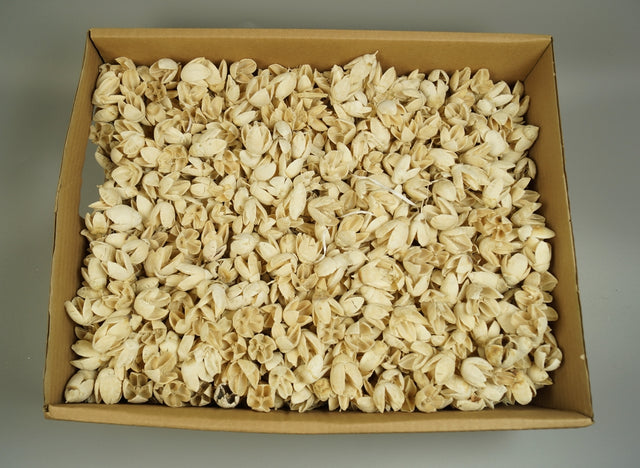 Image for Bakuli inalbit 3kg