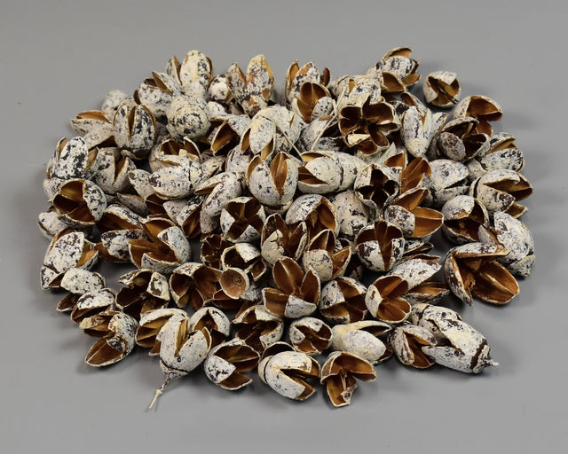 Image for Bakuli inzapezit