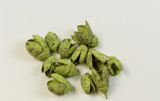 imagine produs Bakuli vopsit verde deschis