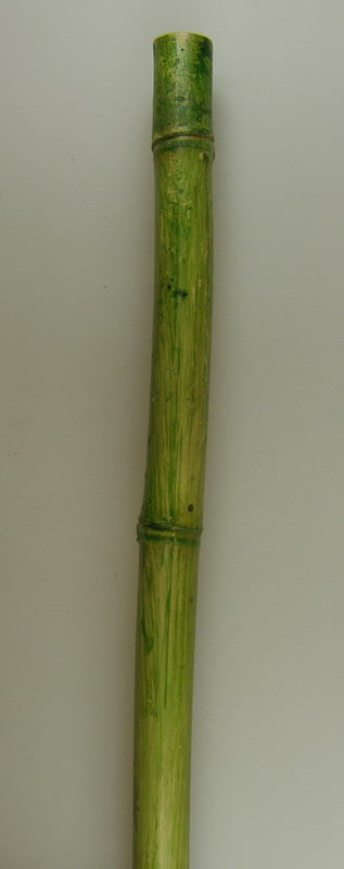Bambus 2,1m×4-4,5cm verde deschis (crapat)