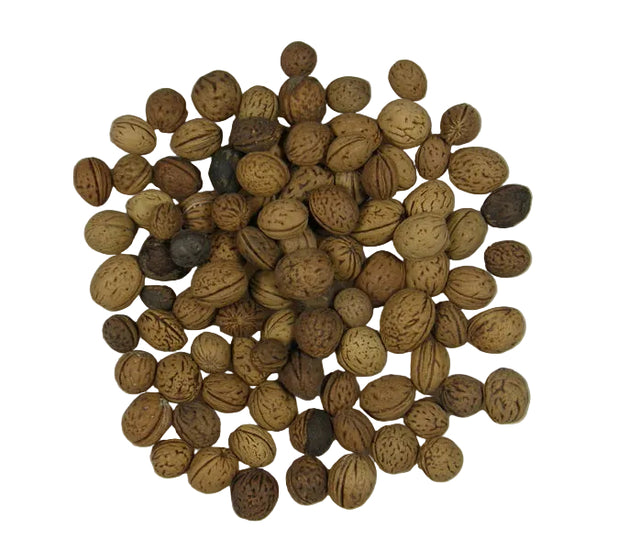 Image for Samburi de piersica