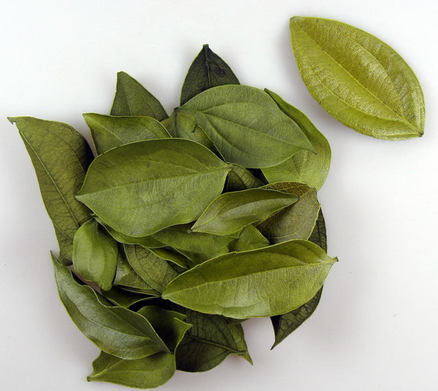 Image for Frunze catifelate verde muschi