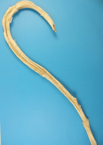 imagine produs Baston banana inalbit i016w