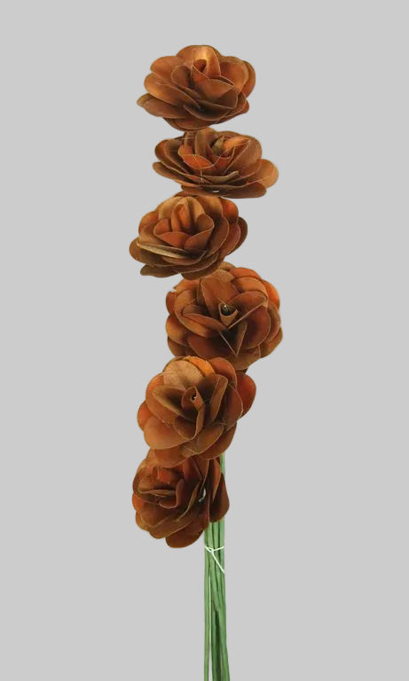 Image for Begonie maro