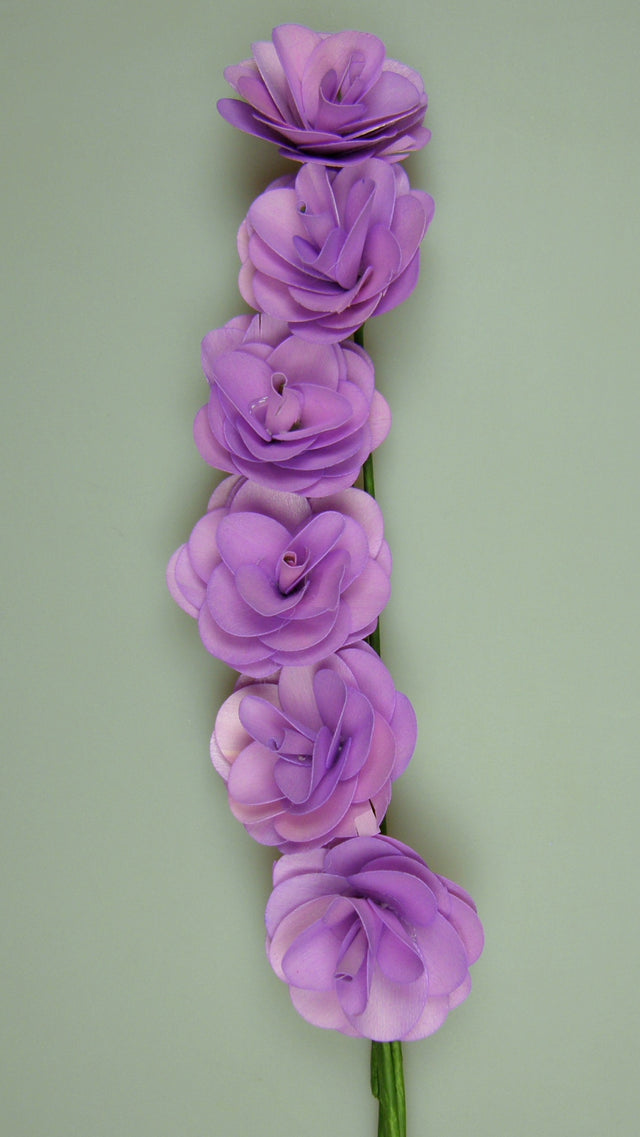 Image for Begonie mov