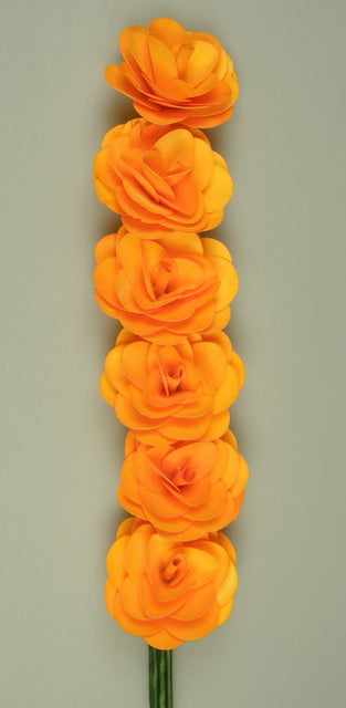 Image for Begonie portocaliu