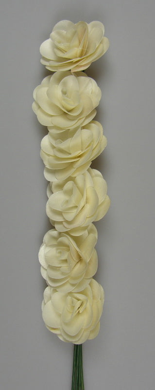 Image for Begonie natur