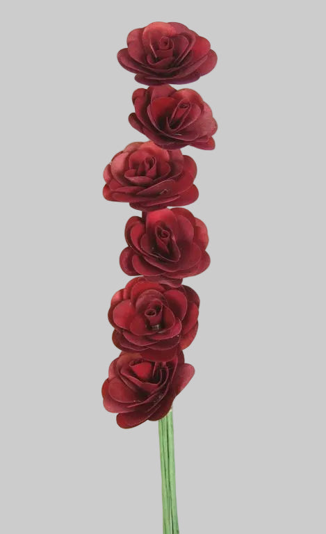 Image for Begonie rosu inchis