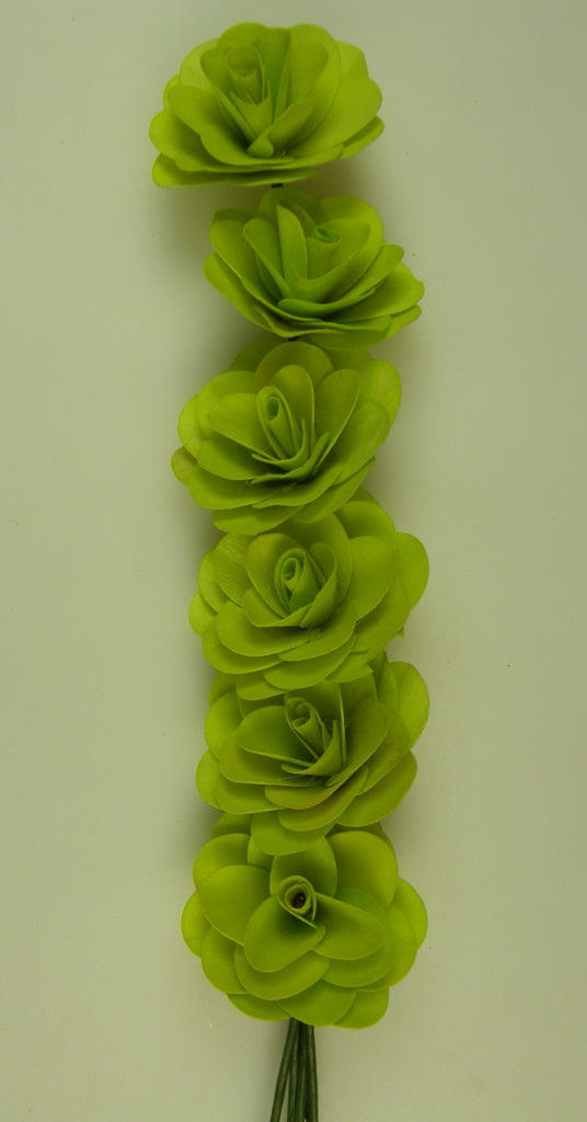 Image for Begonie verde deschis