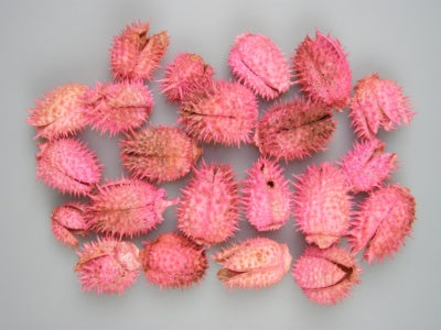 Image for Belendec inalbit roz