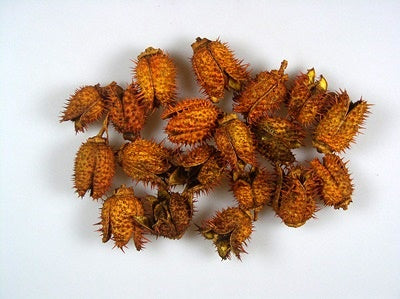 Image for Belendec portocaliu