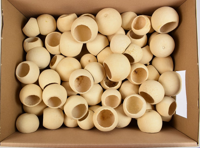 Image for Bell cup inalbit S/70