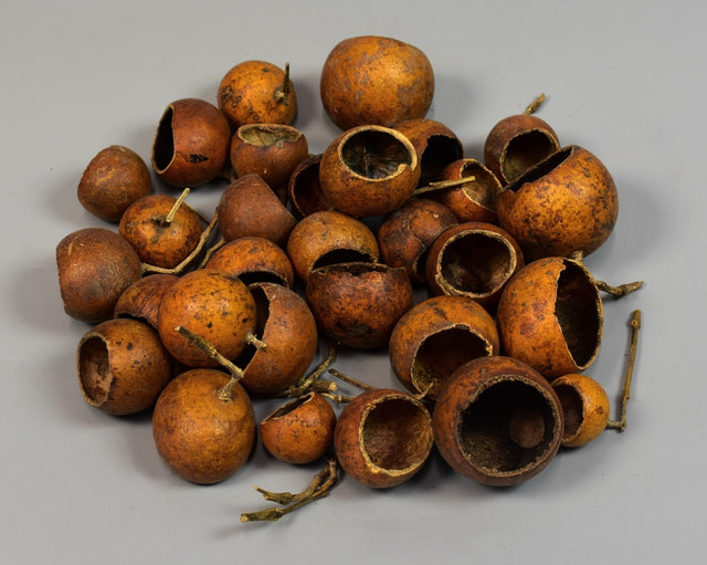 Image for Bell cup mini natur