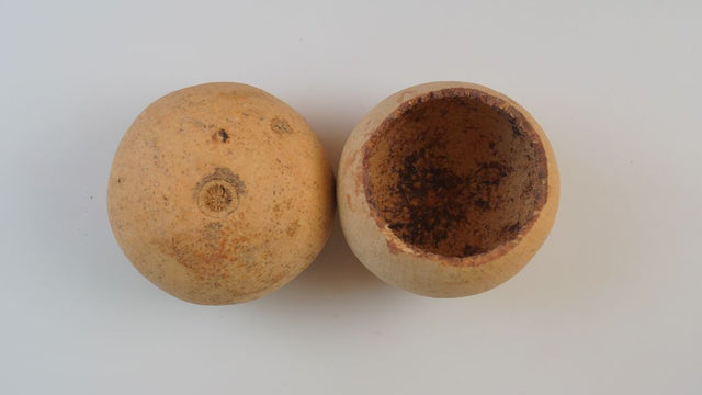 Image for Bell cup natur