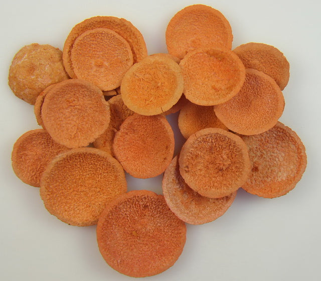 Image for Felii Bell Cap inalbit port.