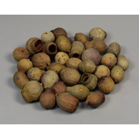 Eukalypt/Bell gum natur